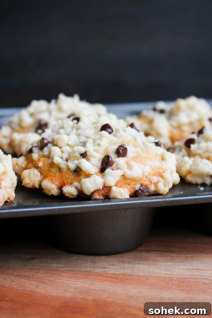 Chocolate Chip Streusel Muffins with Crunchy Cinnamon Topping 3 Baked muffins on a cooling rack