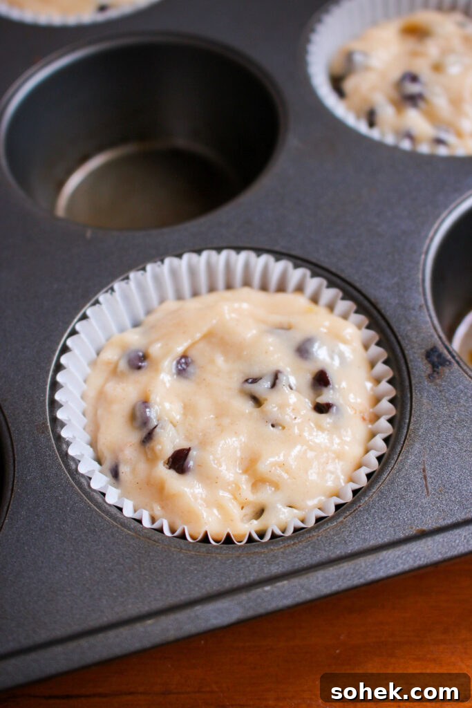 Chocolate Chip Streusel Muffins with Crunchy Cinnamon Topping 9 Muffins ready for the oven