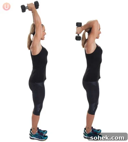 Tricep Overhead Extension