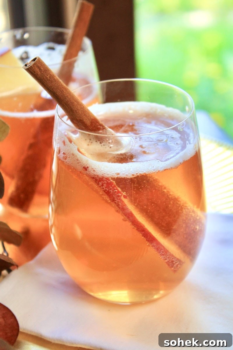 Fall Fizz Cocktail: Apple Cider, Fireball & Bourbon Mix 2 img 30274 1