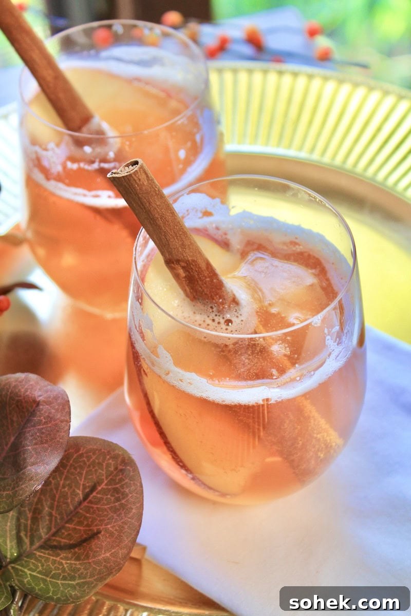 Fall Fizz Cocktail: Apple Cider, Fireball & Bourbon Mix 6 img 30274 5