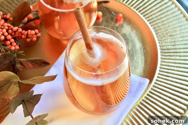 Fall Fizz Cocktail: Apple Cider, Fireball & Bourbon Mix 7 img 30274 6