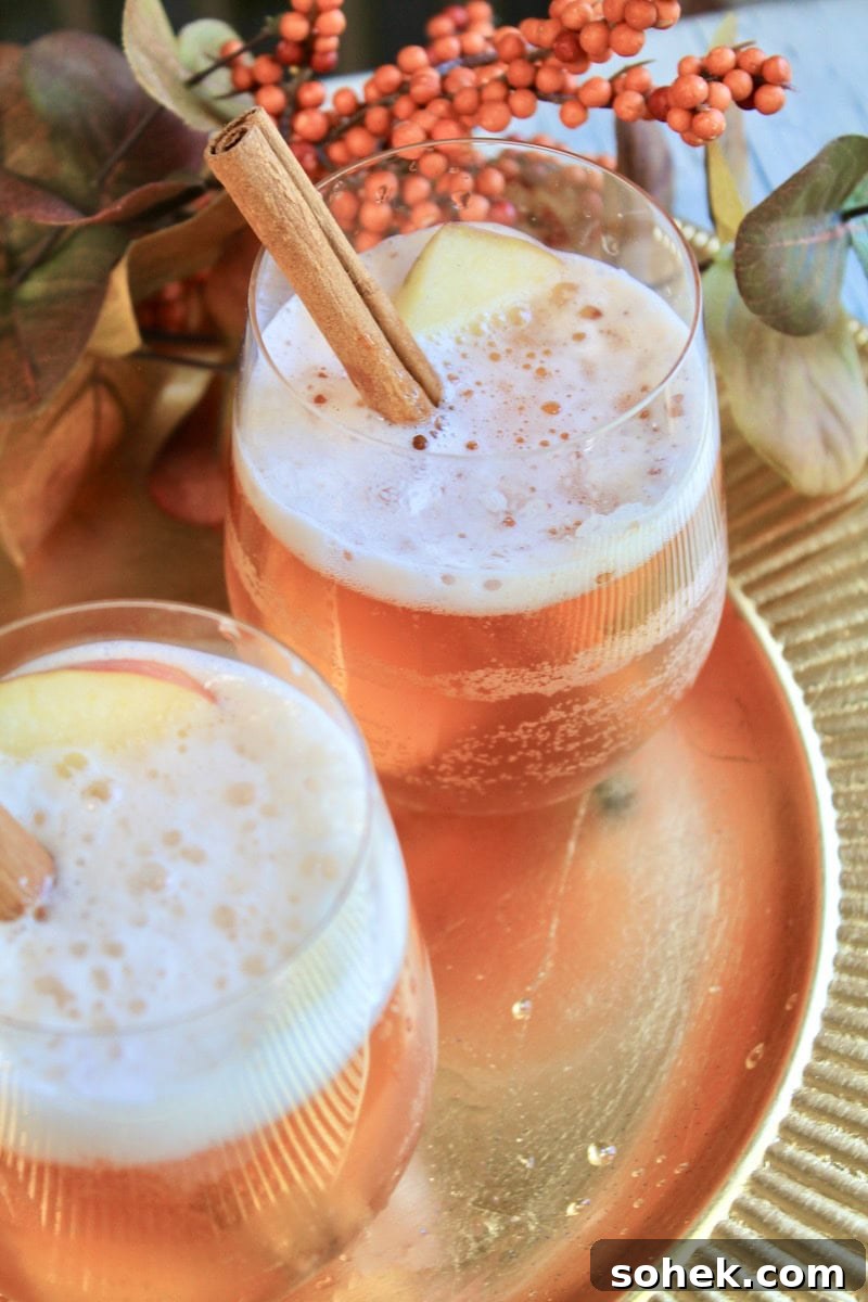 Fall Fizz Cocktail: Apple Cider, Fireball & Bourbon Mix 9 img 30274 8