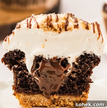 S'mores Cupcakes