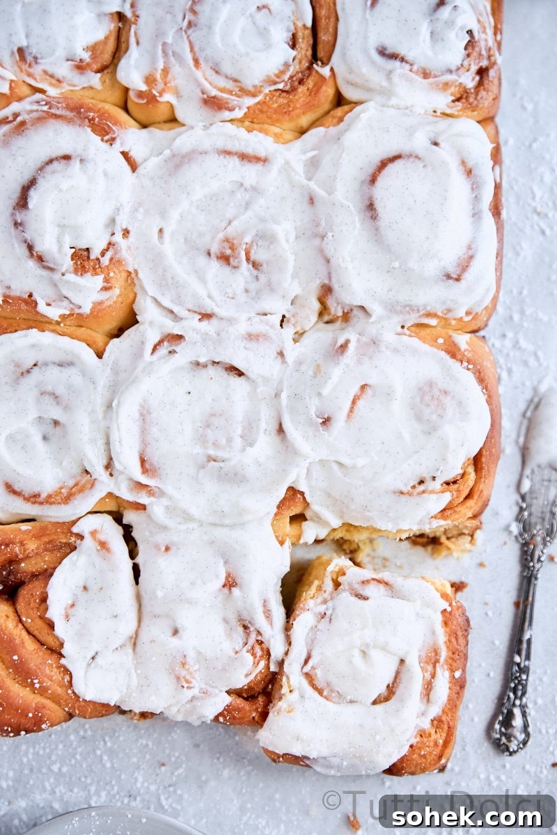 Overnight Brioche Cinnamon Rolls