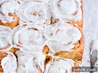 Overnight Brioche Cinnamon Rolls