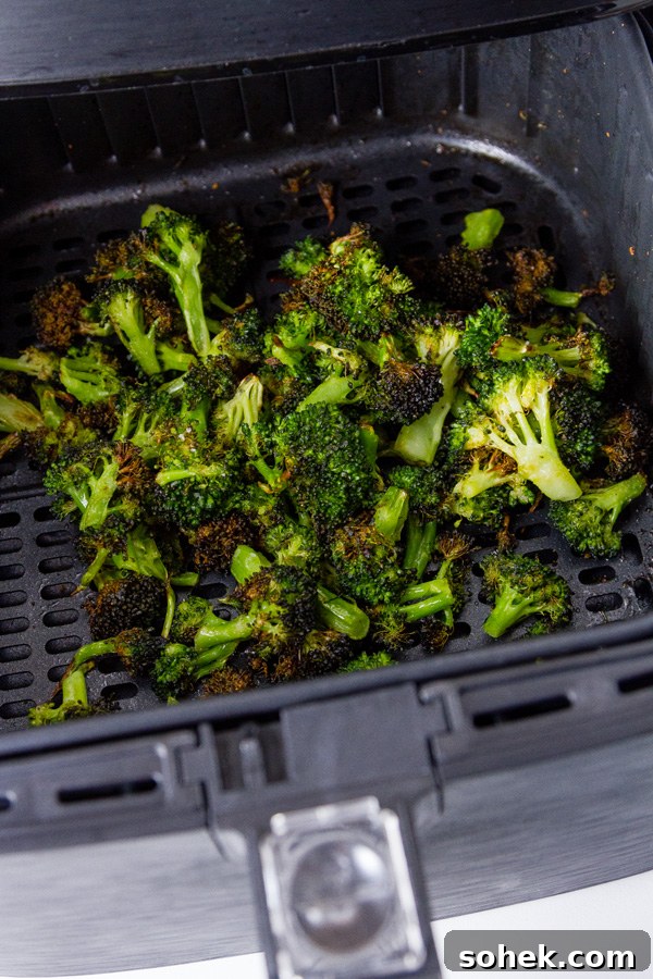Crispy Air Fryer Roasted Broccoli Recipe 3 Air Fryer Roasted Broccoli in the basket of the air fryer after cooking