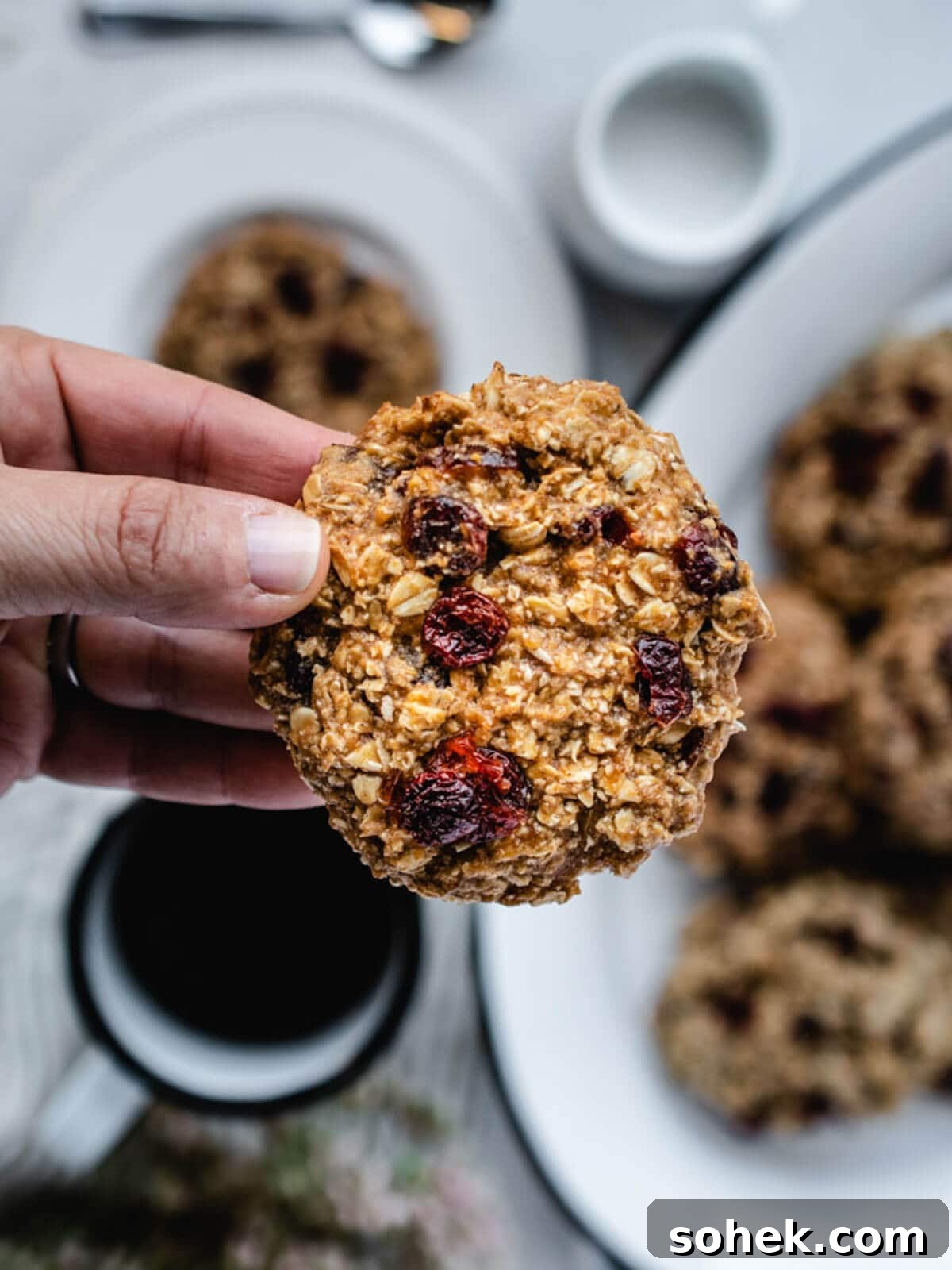 Gluten-Free, Dairy-Free Breakfast Cookies — Make-Ahead Recipe 2 Picking up a gluten free dairy free breakfast cookie loaded with oats and dried fruit.