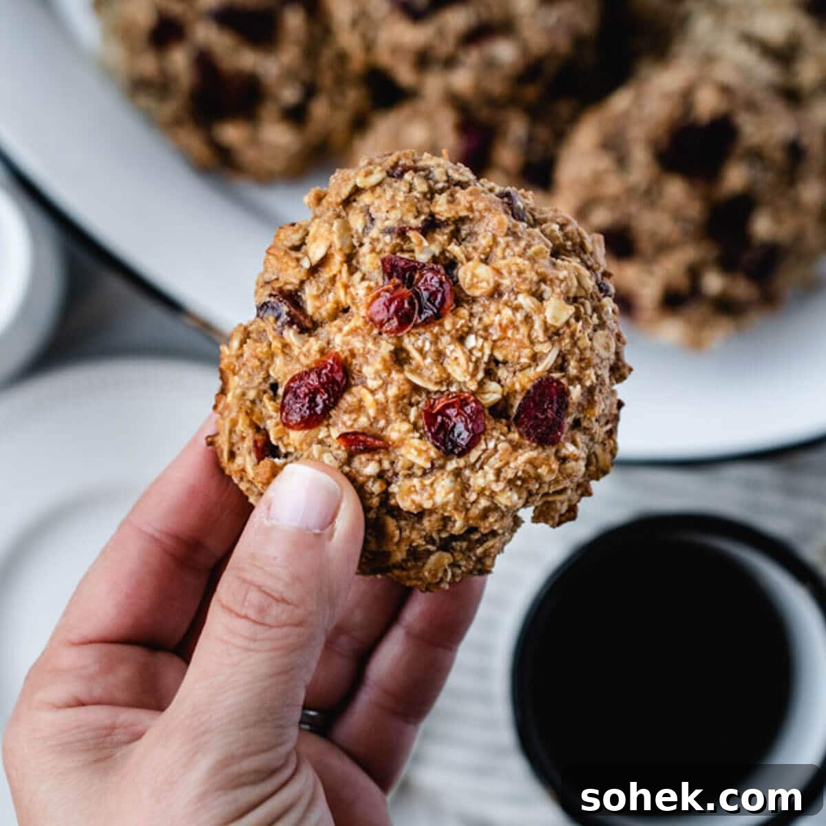 Gluten-Free, Dairy-Free Breakfast Cookies — Make-Ahead Recipe 13 img 3311 15