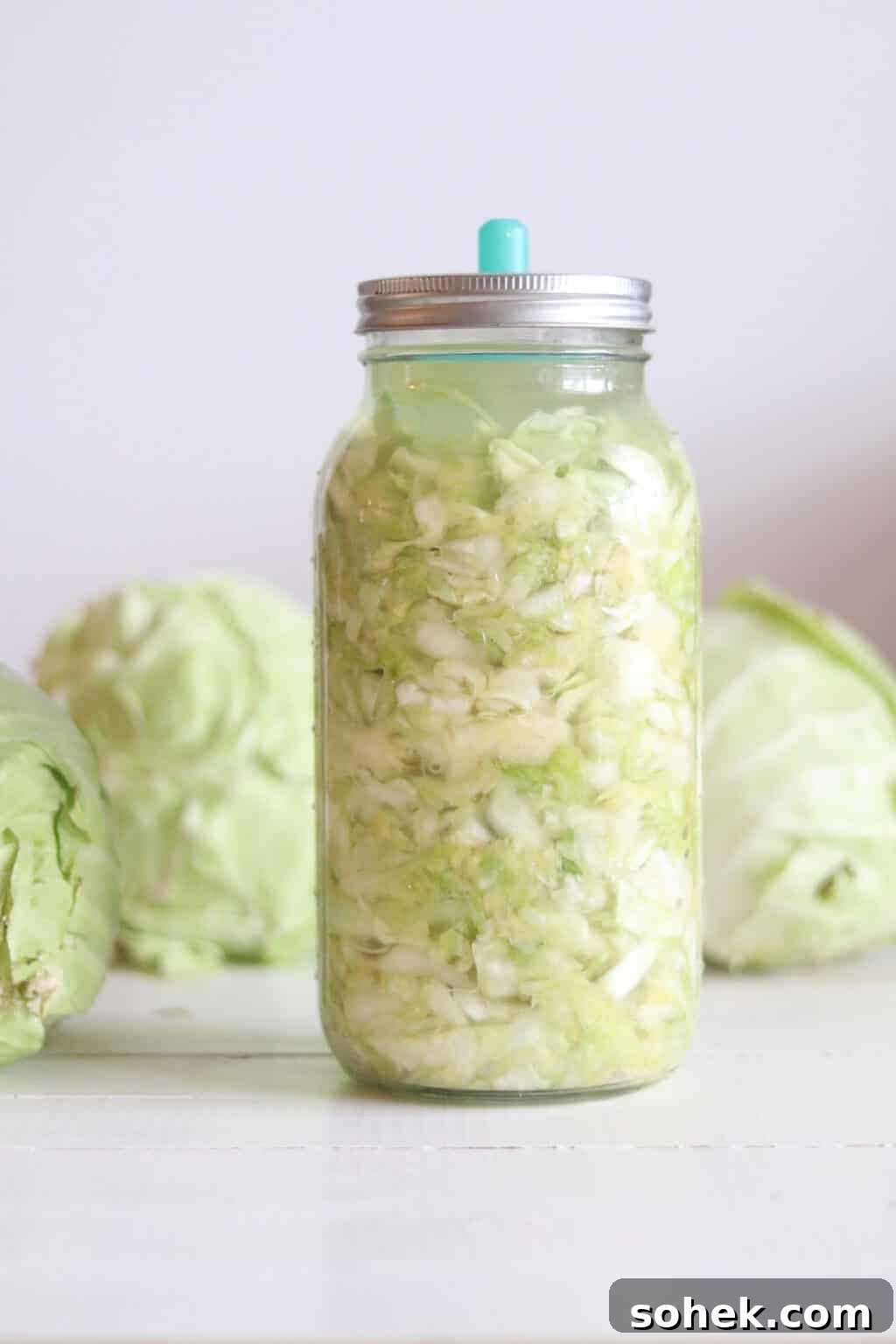 Fermented sauerkraut in mason jar on table with cabbages in background.