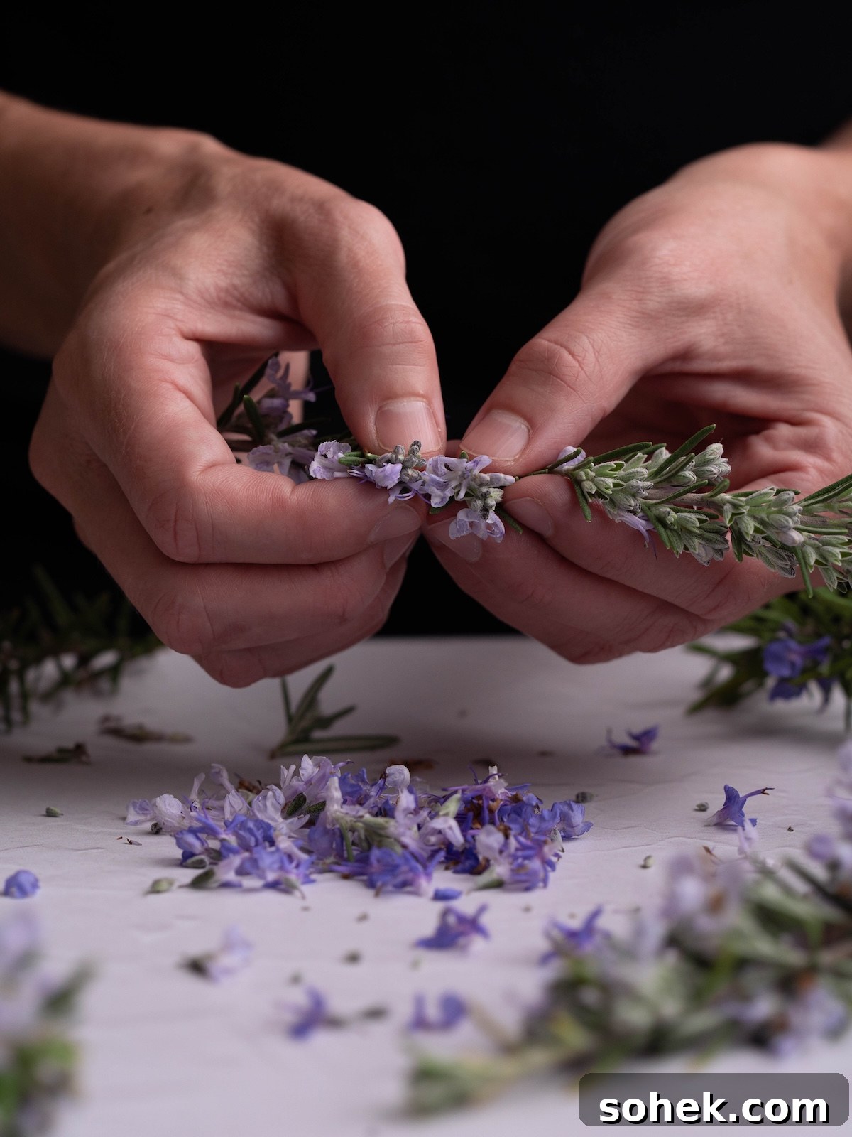 Crispy Sourdough Discard Focaccia with Olive Oil and Herbs 12 Plucking rosemary flowers off a rosemary branch