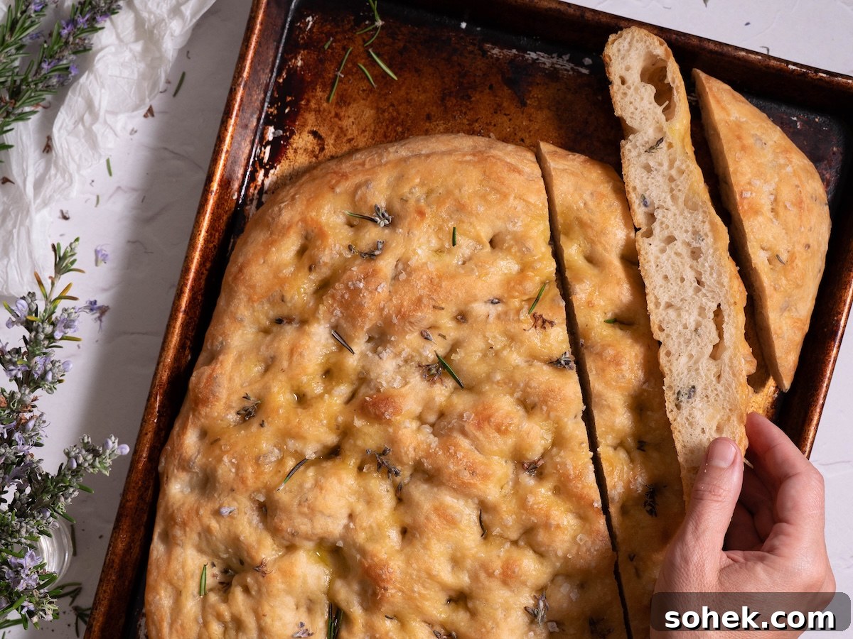 Crispy Sourdough Discard Focaccia with Olive Oil and Herbs 3 Rosemary flower focaccia with fresh rosemary flowers