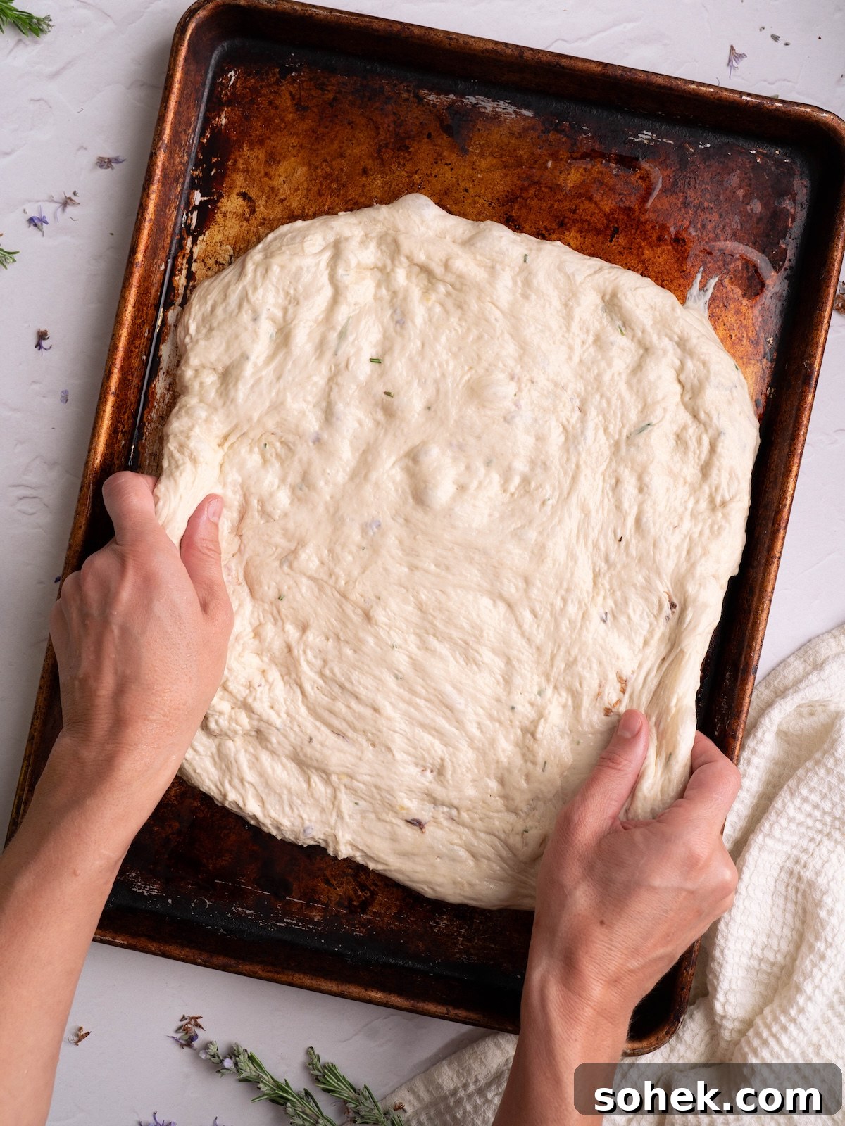 Crispy Sourdough Discard Focaccia with Olive Oil and Herbs 8 Hands gently stretching sourdough discard focaccia dough