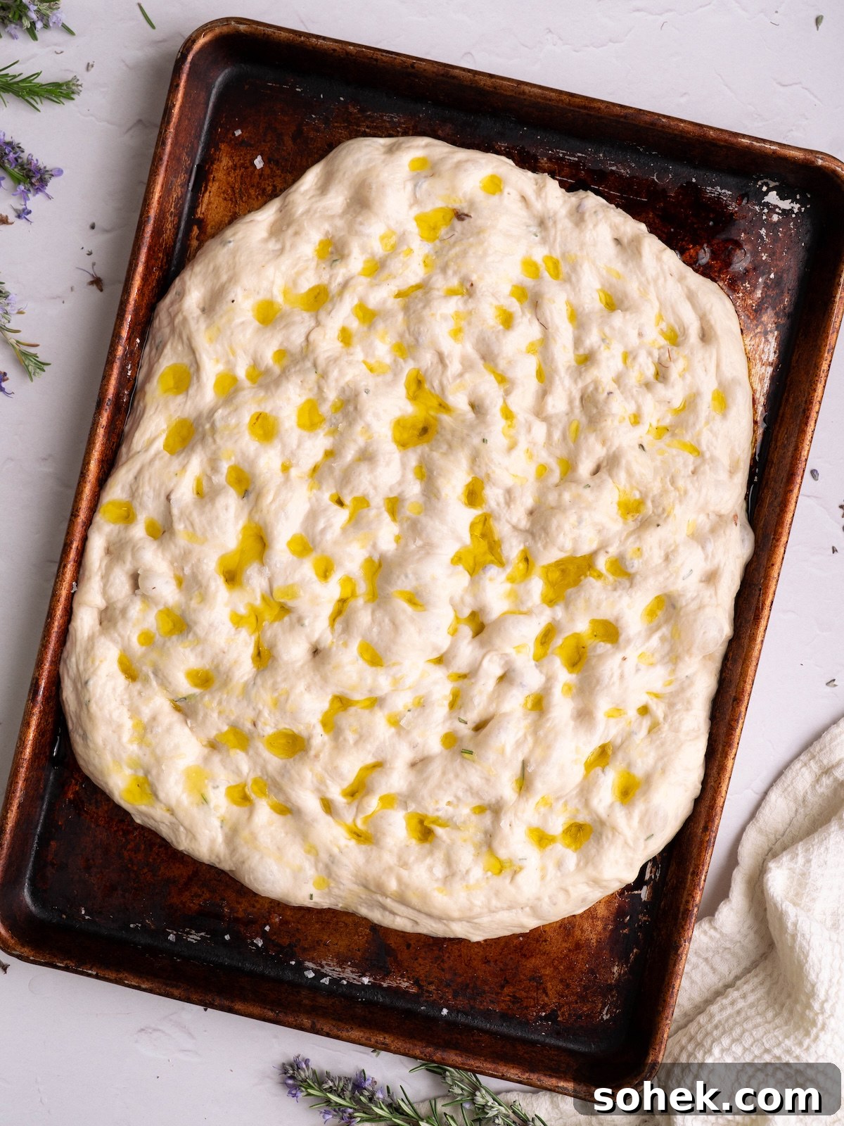 Crispy Sourdough Discard Focaccia with Olive Oil and Herbs 10 Focaccia dough, dimpled and drizzled with olive oil