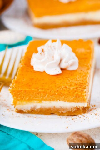Sweet potato cheesecake bar topped with whipped cream.