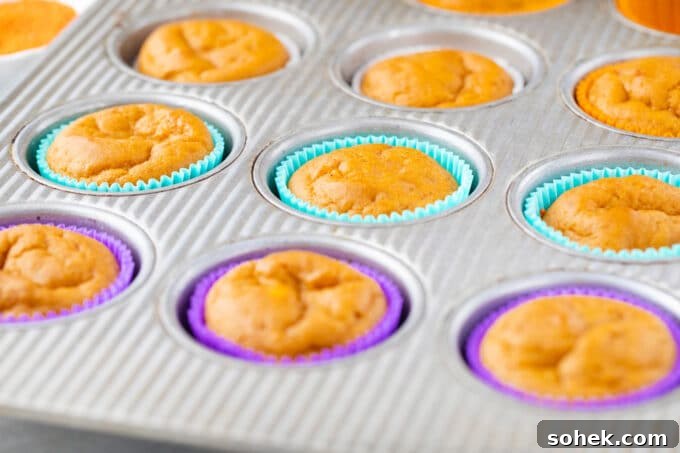 Creamy Sweet Potato Pie Cupcakes Recipe for Fall Desserts 9 Baked sweet potato pie cupcakes.