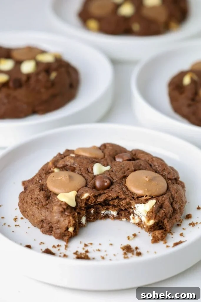 Triple Chocolate Sourdough Cookies Recipe with Crispy Edges 2 img 38529 1