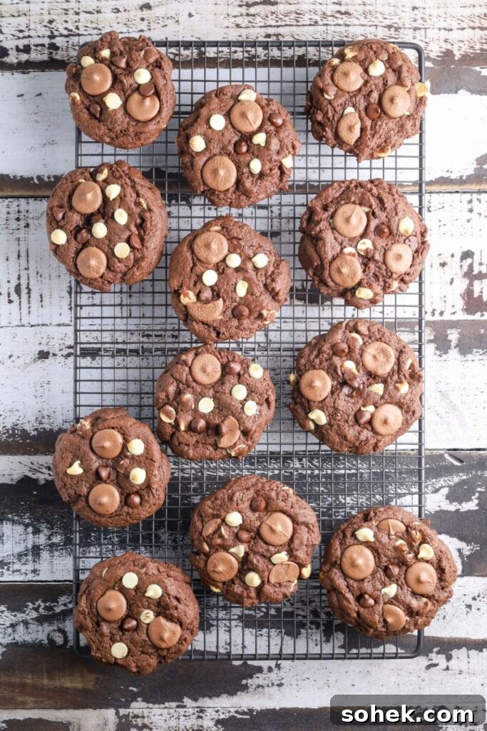 Triple Chocolate Sourdough Cookies Recipe with Crispy Edges 5 12 triple chocolate sourdough cookies laid out on a wire cooling rack.