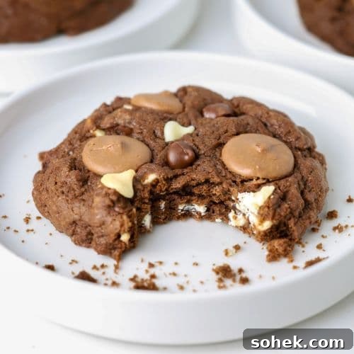 Triple Chocolate Sourdough Cookies Recipe with Crispy Edges 7 img 38529 6