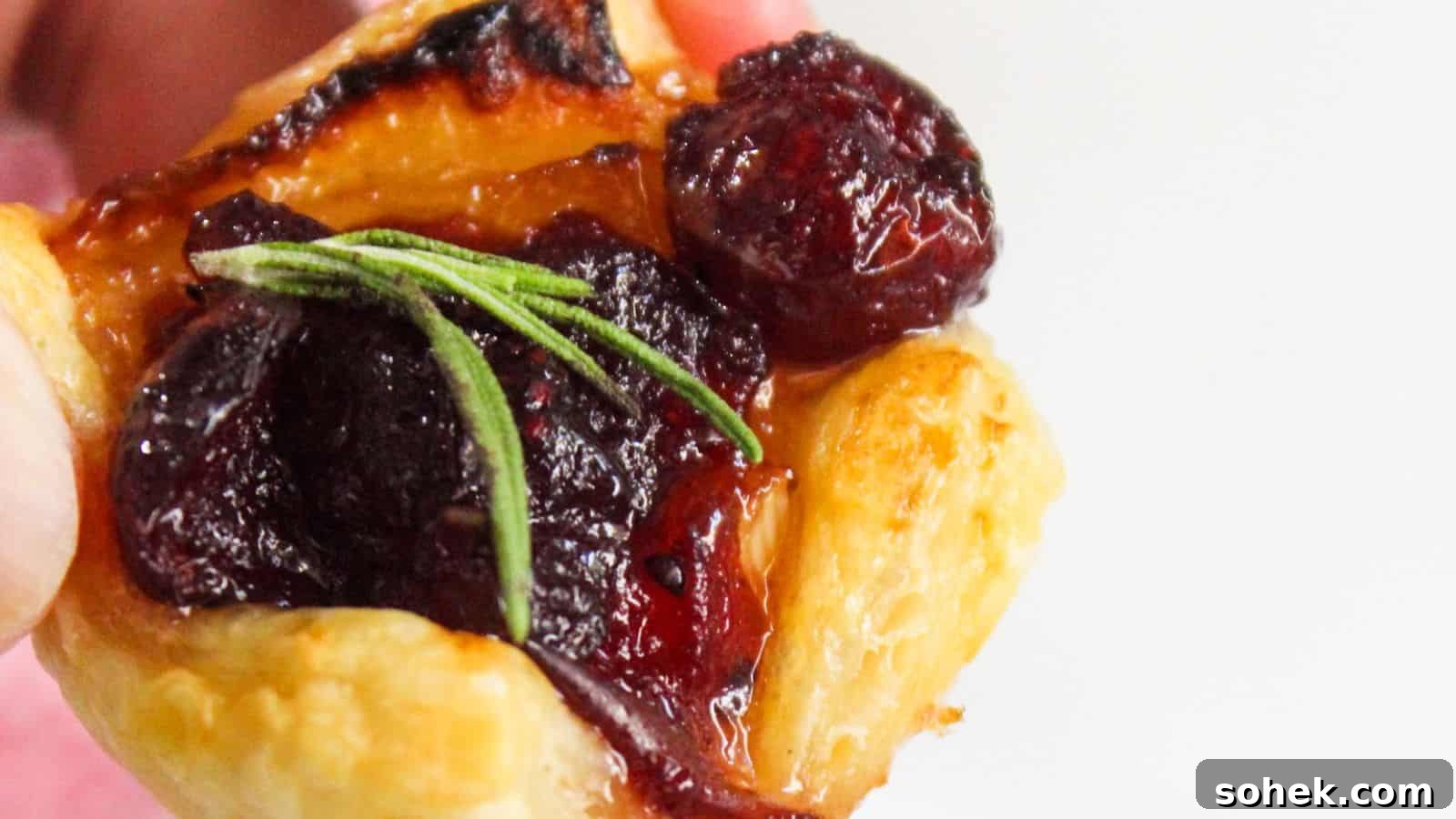 26 Irresistible Air Fryer Game Day Snacks to Serve Guests 26 Close-up of a pastry topped with cranberries and a sprig of rosemary.