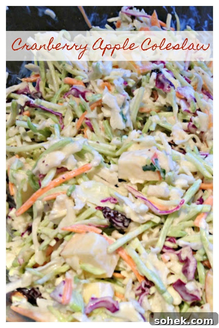 Cranberry Apple Coleslaw - The BEST Coleslaw Recipe, Only 4 Ingredients!