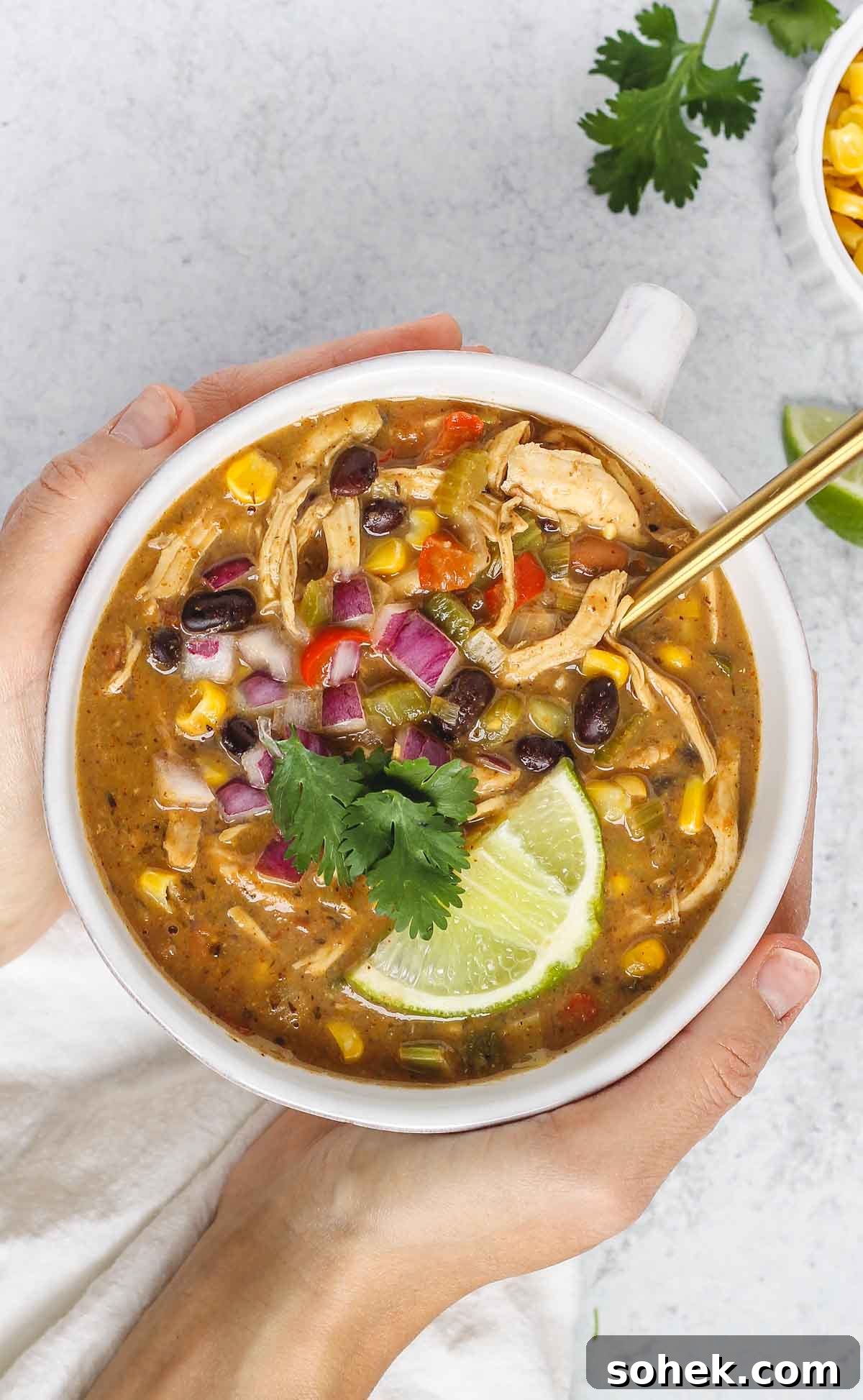 Southwestern Chicken Chili Recipe: Zesty One-Pot Dinner 2 Hands holding a bowl of chicken chili topped with fresh cilantro and a lime wedge.