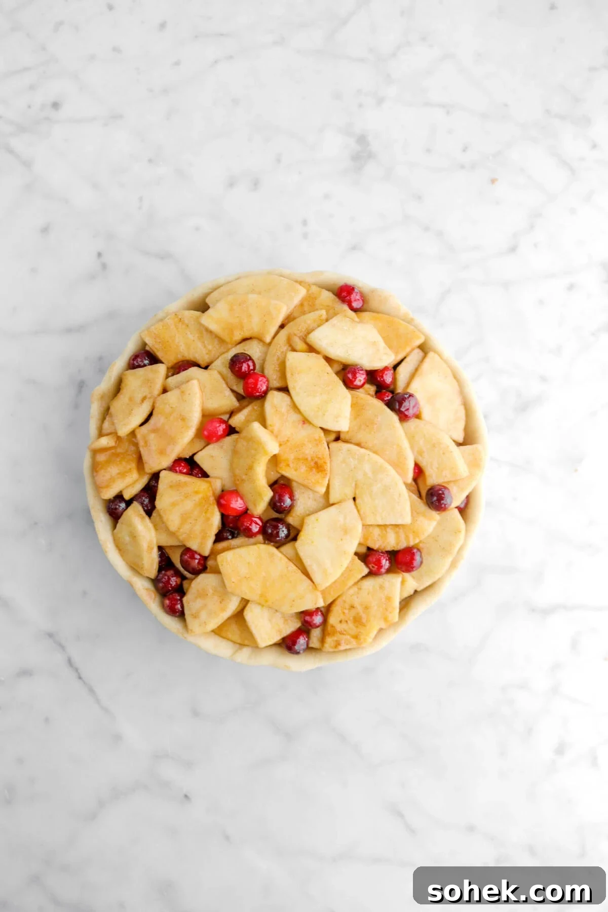 Apple Cranberry Crumble Pie Recipe with Buttery Oat Topping 10 pie filling added to unbaked pie crust.