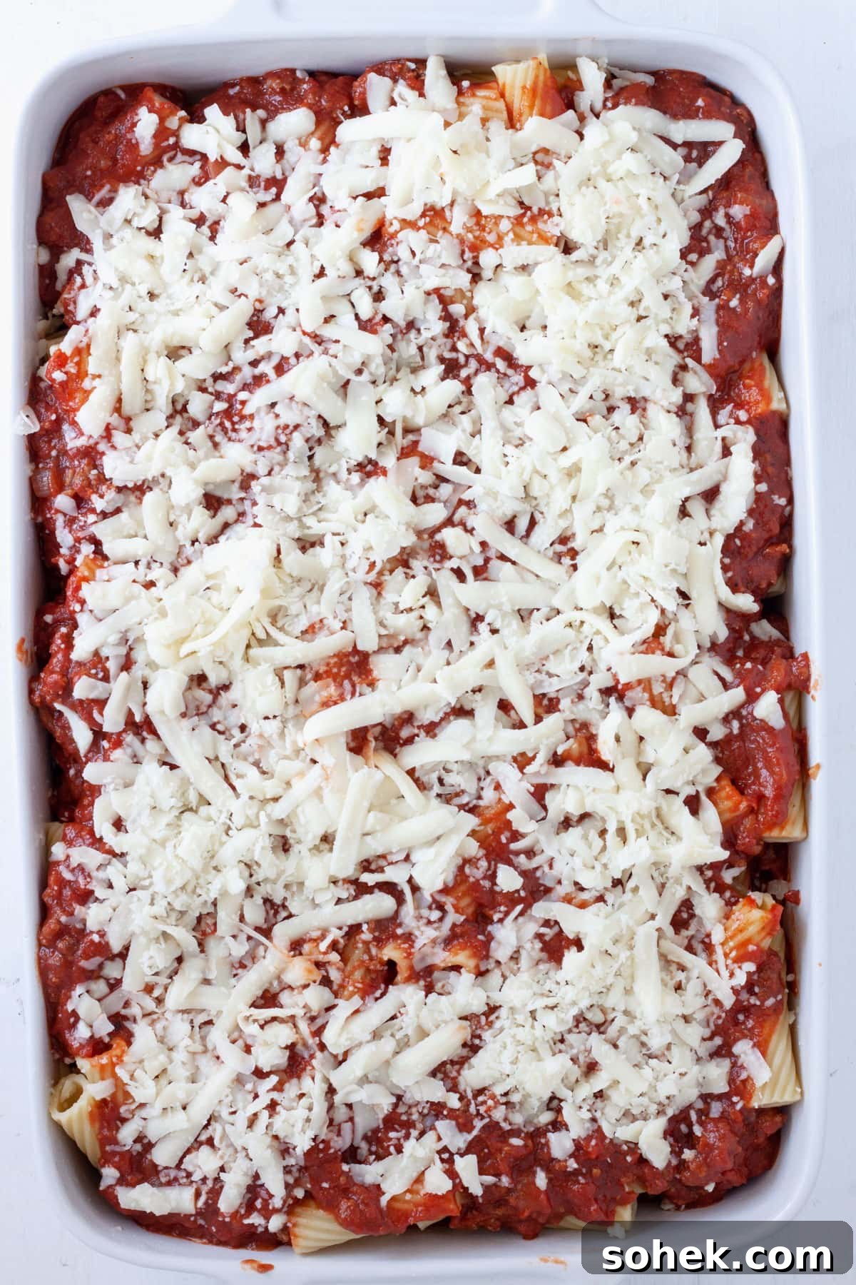 Rigatoni al forno in a baking dish uncooked.