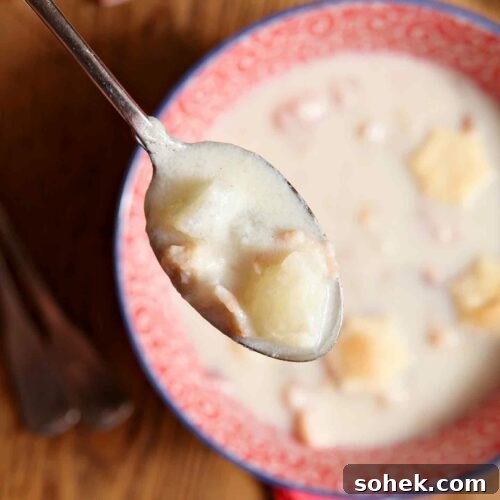 Overhead shot of spoonful of Clam Chowder