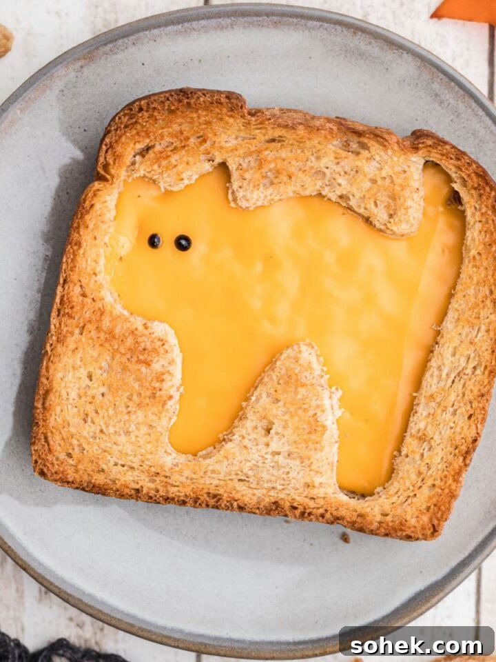 Close up overhead shot of a halloween grilled cheese with a cat.