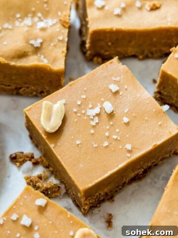 Cut up pieces of no bake peanut butter fudge topped with coarse sea salt.