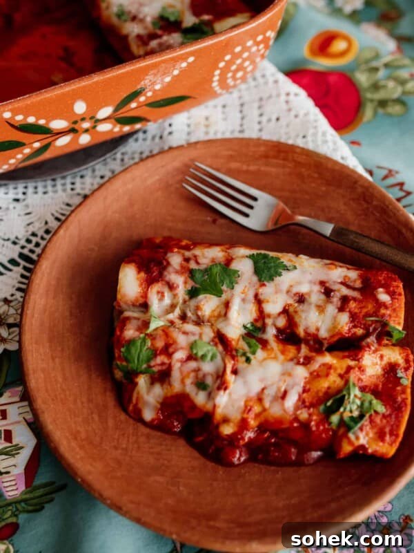 two chicken enchiladas on a terra cotta plate topped with cilantro
