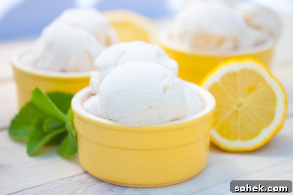 Creamy Vegan Lemon Ice Cream Recipe for Homemade Refreshment 2 Homemade Lemon Ice Cream