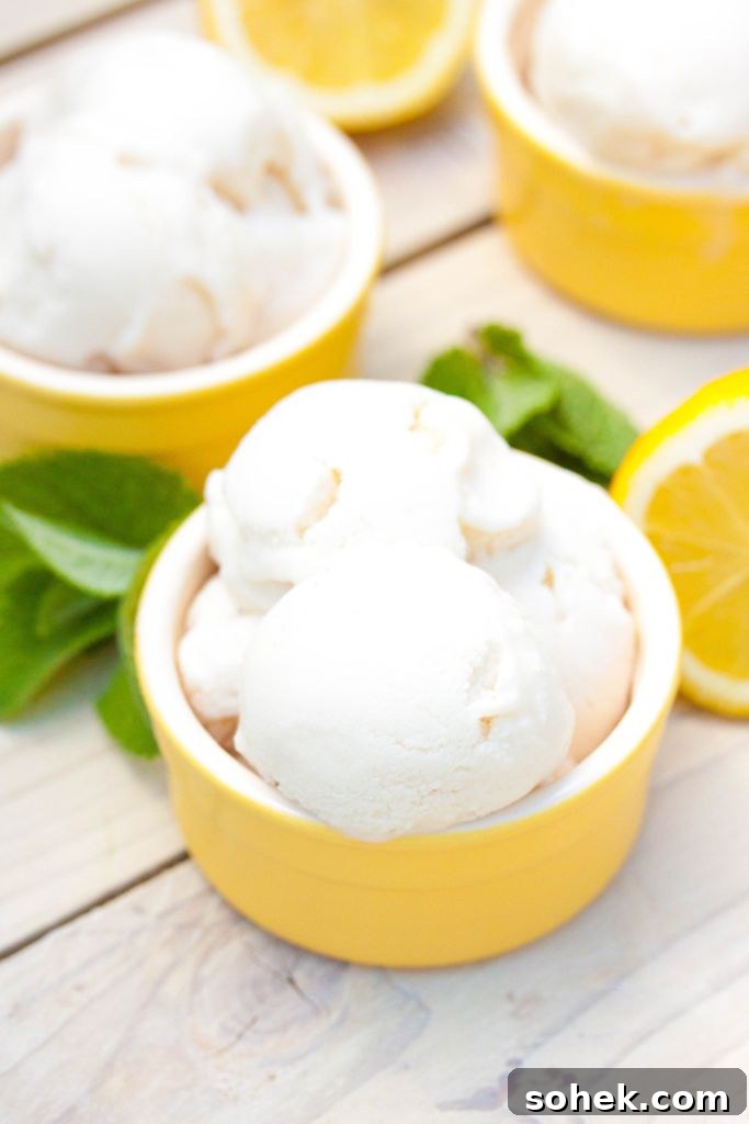 Creamy Vegan Lemon Ice Cream Recipe for Homemade Refreshment 3 Vegan Homemade Lemon Ice Cream