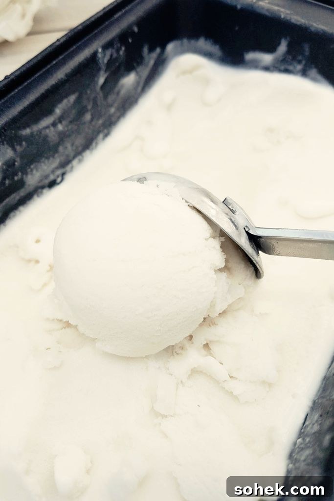 Creamy Vegan Lemon Ice Cream Recipe for Homemade Refreshment 4 img 4547 3
