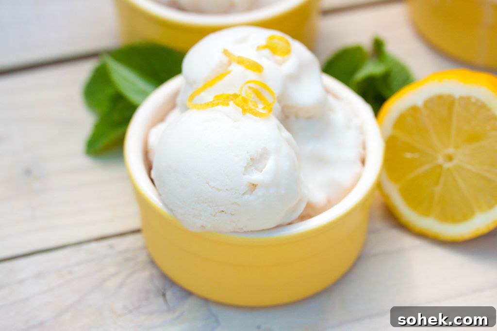 Creamy Vegan Lemon Ice Cream Recipe for Homemade Refreshment 5 Vegan Homemade Lemon Ice Cream