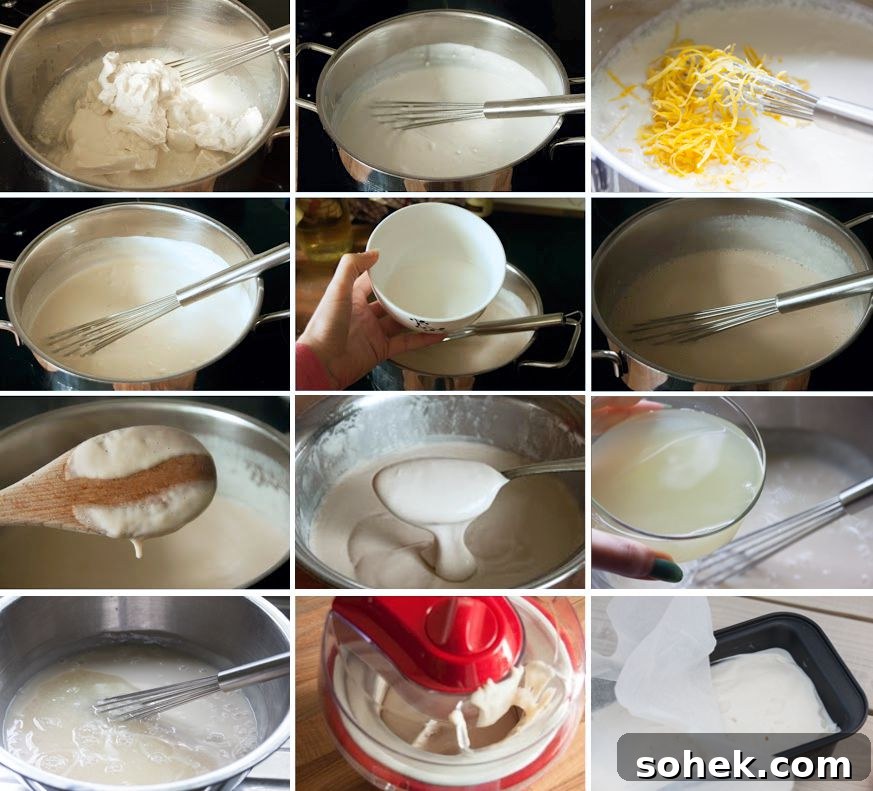 Creamy Vegan Lemon Ice Cream Recipe for Homemade Refreshment 6 Vegan Homemade Lemon Ice Cream