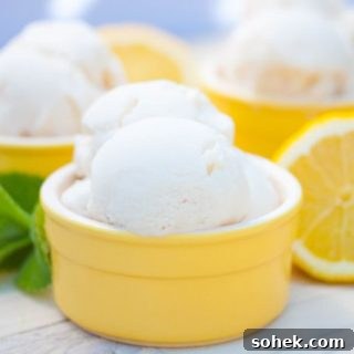Creamy Vegan Lemon Ice Cream Recipe for Homemade Refreshment 7 img 4547 6