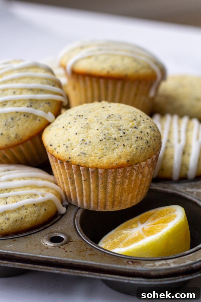 Lemon Poppy Seed Muffins Recipe with Zesty Glaze 7 lemon poppy seed muffins