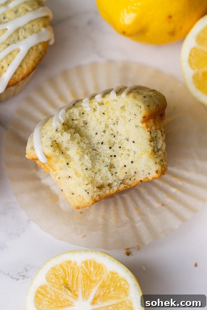 Lemon Poppy Seed Muffins Recipe with Zesty Glaze 8 lemon poppy seed muffins