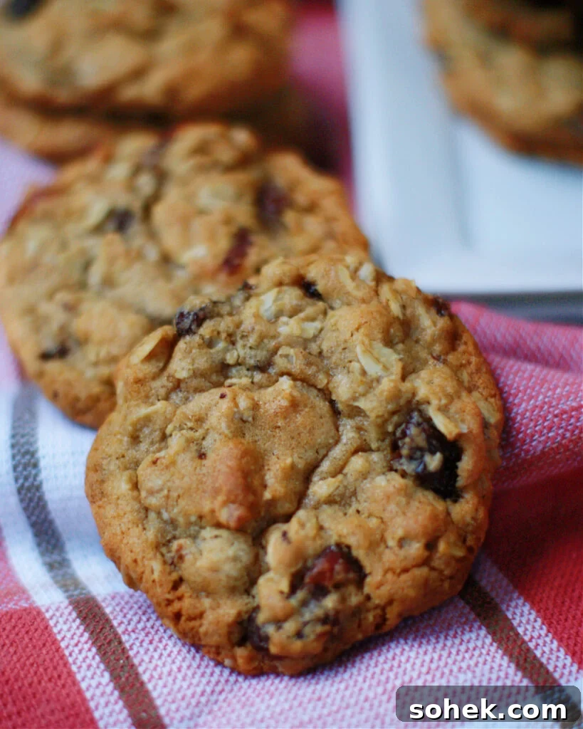 Soft, chewy, moist oatmeal raisin cookies will loads of traditional flavor.