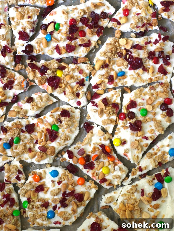 Trail Mix Frozen Yogurt Bark
