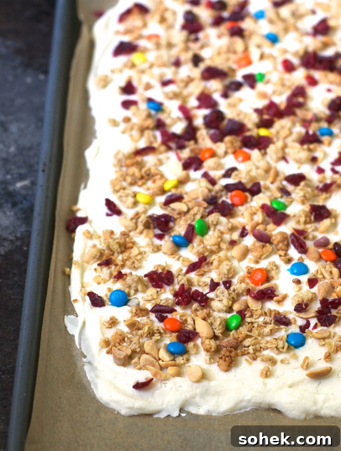 Trail Mix Frozen Yogurt Bark