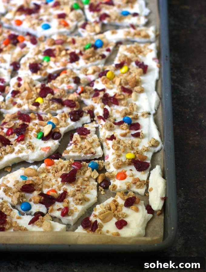 Trail Mix Frozen Yogurt Bark