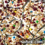 Trail Mix Frozen Yogurt Bark