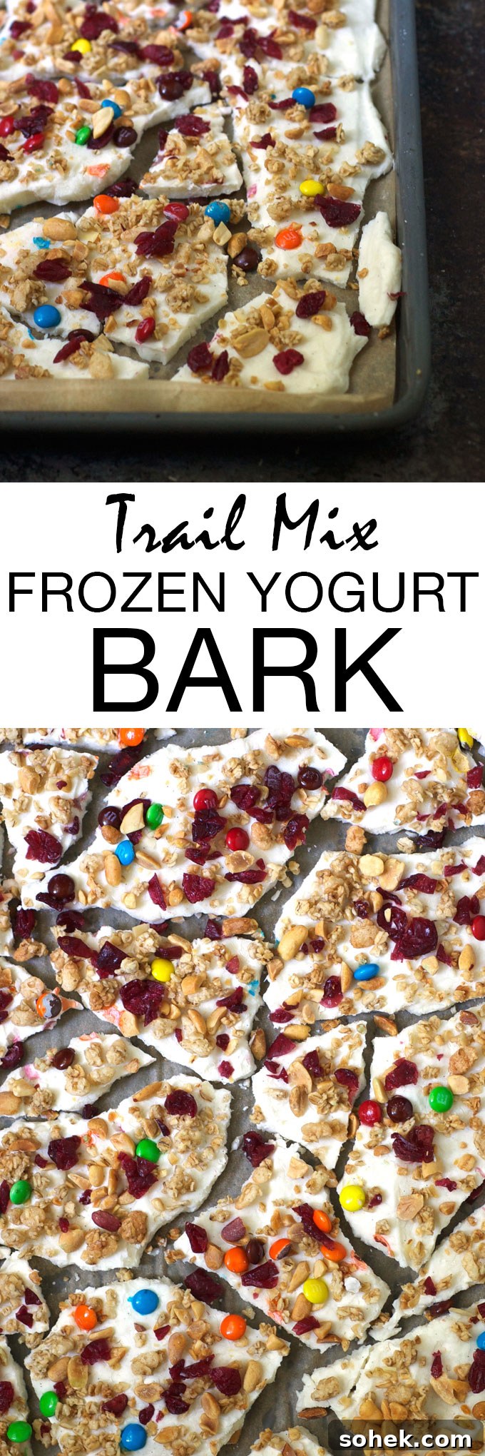 Trail Mix Frozen Yogurt Bark is the perfect healthy, whole food snack! Creamy Greek yogurt is swirled with honey and vanilla and sprinkled with granola, peanuts, dried cranberries, and M&Ms. Then just pop in the freezer for a couple of hours and enjoy!