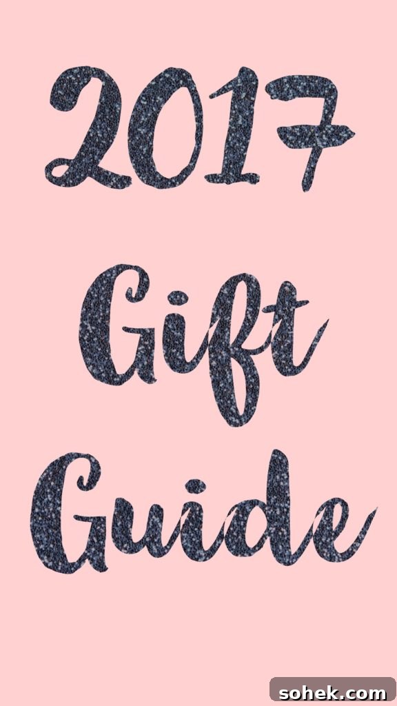 2017 Holiday Gift Guide