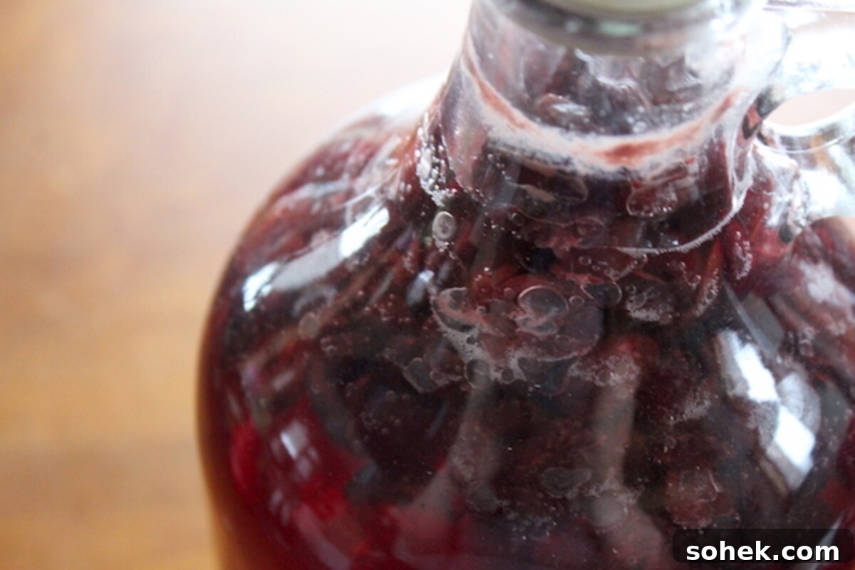 Homemade Cranberry wine brewing 
