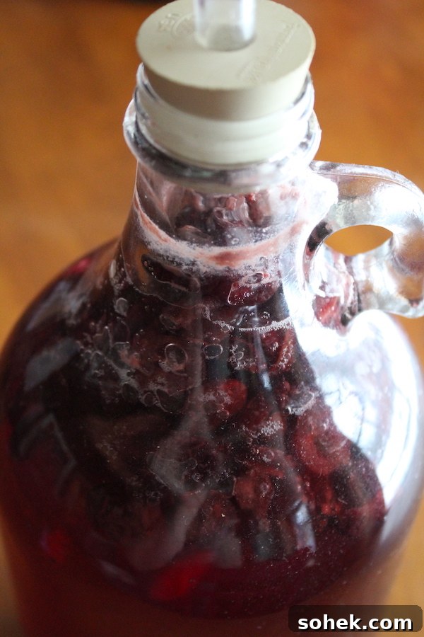 Homemade Cranberry Wine Recipe