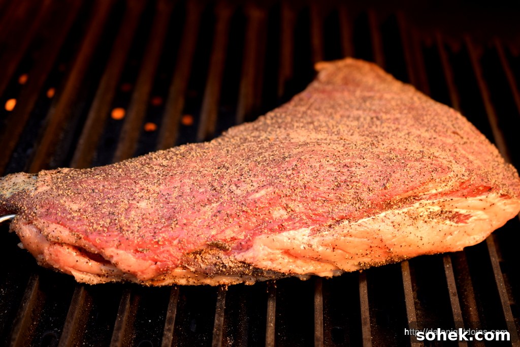 Juicy Tri-Tip Roast Recipe for Tender, Flavorful Beef 4 On the Hot Grill Grates